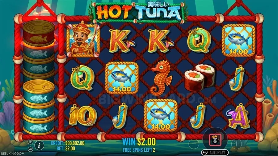 Live Casino Beginner's Guide
